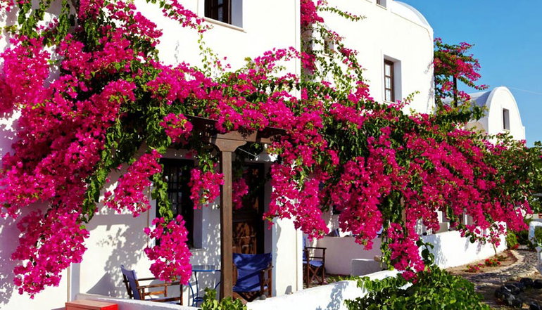 Anna Traditional Apartments  - Καμάρι, Σαντορίνη
